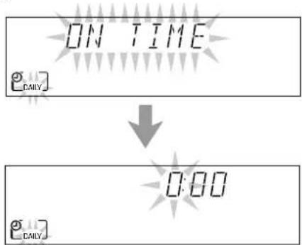 ON TIME DAILY 0:00 DAILY
