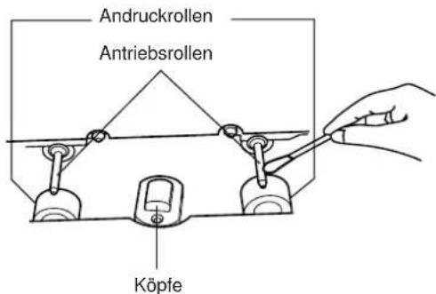 Andruckrollen Antriebsrollen Köpfe
