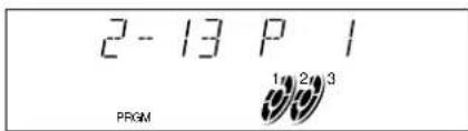 2 - 13 P 1 PRGM 1, 2, 3