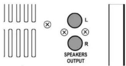 L R SPEAKERS OUTPUT