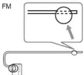 FM