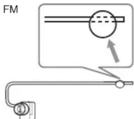FM
