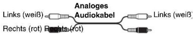 Analoges Audiokabel Links (weiβ) Rechts (rot) Rechts (rot) Links (weiβ)