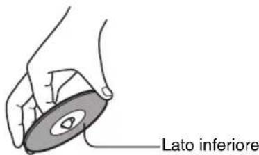 Lato inferiore