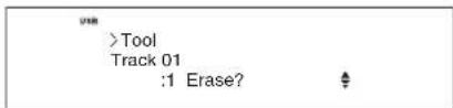 >Tool Track 01 :1 Erase?