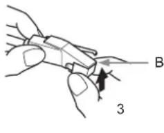 B 3
