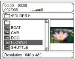 00:00 00:00 002/006 3FOLDER1: BOAT CAR DOG FLOWER SHUTTLE Resolution 640 x 480