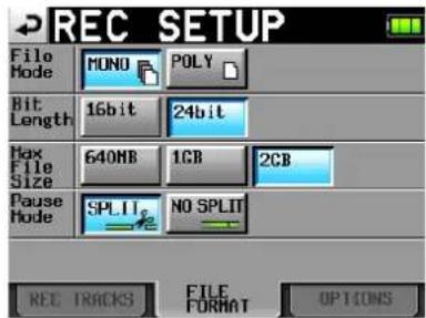 TASCAM HS-P82 - Tippen Sie auf FILE FORMAT. - 1