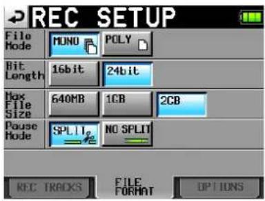 TASCAM HS-P82 - Die Registerkarte FILE FORMAT - 1