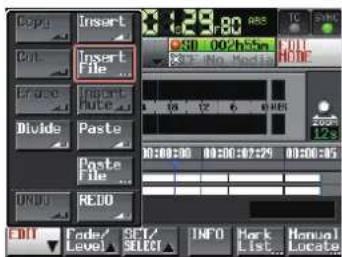 Copy Insert Cut Insert File ... Prize Paste Divide Paste Paste File ... ENDU READ Edit Level SET/SELECT INFO Mark List... Manual Locate 0:29:80 0:10:00:00 0:00:00:00 0:00:00:00 0:00:00:05 12 s