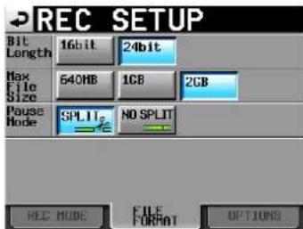TASCAM HS-2 - Die Registerkarte FILE FORMAT - 1