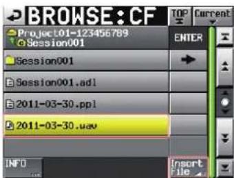 BROWSE: CF Project01-123456789 Session001 Session001 Session001.adl 2011-03-30.ppl 2011-03-30.uav INFO Insert file