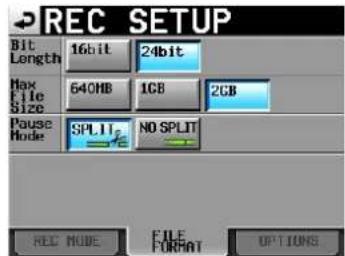 TASCAM HS-2 - Das Aufnahmedateiformat wählen - 1