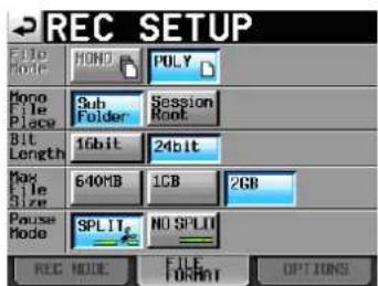 REC SETUP File Mode HONO PULY Mono File Place Sub Folder Session Root Bit Length 16bit 24bit Max File Size 640MB 1GB 2GB Pause Mode SPLITs NO SPLIT REC MODE FILE FORMAT OPTIONS