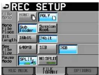 TASCAM HS-4000 - Tippen Sie auf den Reiter FILE FORMAT, um Einstellungen für das Dateiformat vorzunehmen. - 1