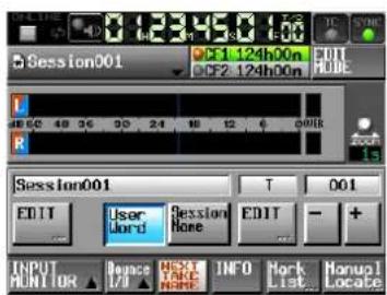 Session001 51 124h00n DF2 124h00n L R Session001 T 001 EDIT User Word Session None EDIT + INPUT MUNTOR ▲ Change I/O ▲ NEXT TAKE NAME INFO Mark List Manual Locate
