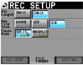 TASCAM HS-2000 - Die Registerkarte FILE FORMAT - 1