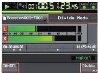 Session001-T001 -- Divide Mode -- L R 00:00:00:00 01:25:46:01 MARK03 CANCEL Divide