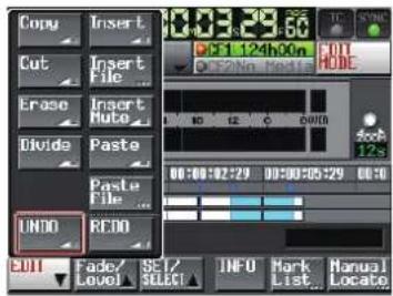 Copy Insert Cut Insert File Erase Insert Hute Divide Paste Paste File UNDO REDO 00:00:02:29 00:00:05:29 00:00:12s ADD Fade/ SE/ INFO Mark Manual Level Select List Locate