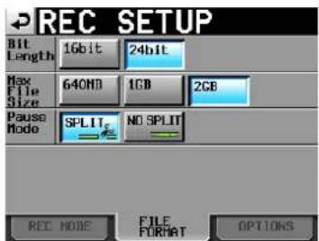 TASCAM HS-2000 - Einstellungen für die Aufnahme vornehmen - 3