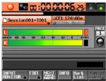 TASCAM HS-2000 - Die Aufnahme ausführen - 2