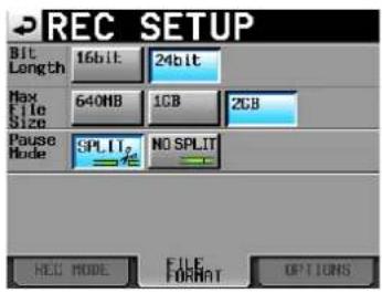 TASCAM HS-2000 - Das Aufnahmedateiformat wählen - 1