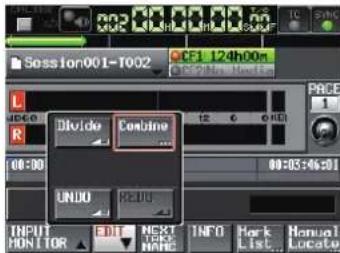 Session001-T002 CFI 124h00m Divide Combine UNDO REDU INPUT MONITOR EDIT NEXT NAME INFO Mark List Manual Locate