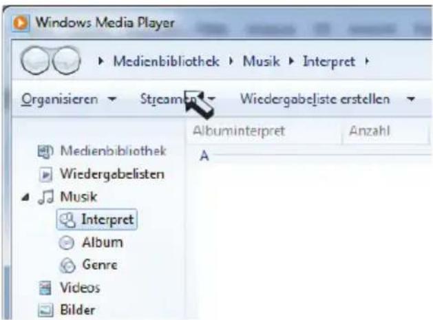 dnt IR SoundChef - Den Media Player als UPNP-Server einrichten - 1