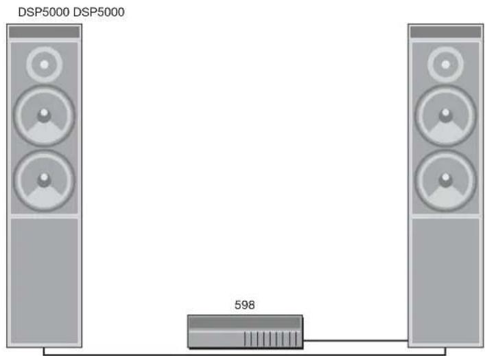 DSP5000 DSP5000 598