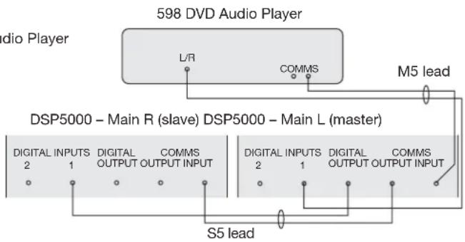 MERIDIAN 598 - To connect to two Meridian DSP loudspeakers - 1