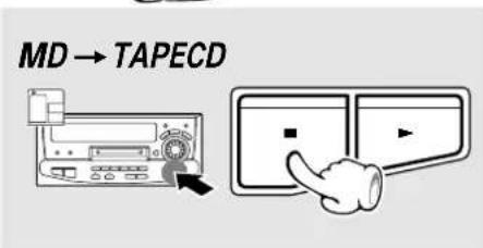 MD → TAPECD