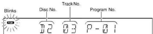 Blinks Disc No. Track No. Program No. PCM 12 03 P - 01