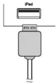 iPod