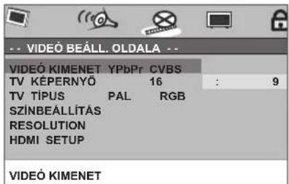 Tevion MDVD 313 - A képernyő formátuma - 1