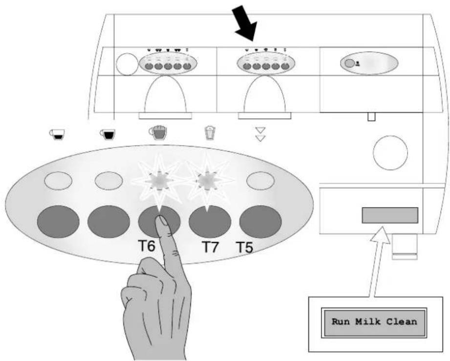 T6 T7 T5 Run Milk Clean