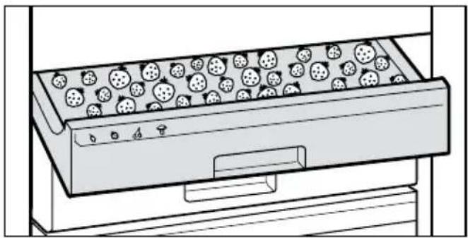 MIELE F 7463 - Gefriertablett nutzen - 1