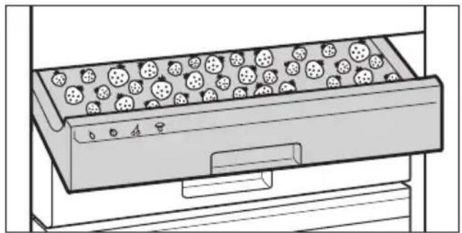 MIELE KF 3855 S-6 - Gefriertablett nutzen - 1