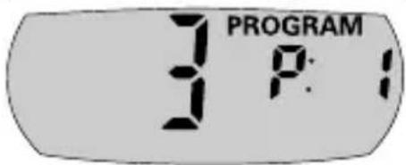 PROGRAM 3 P:1