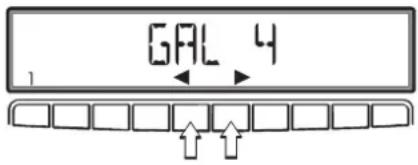 GAL 4