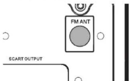 FM ANT SCART OUTPUT