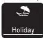 HISENSE MKGNF 536 - Holiday - 1