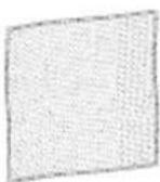 MIELE CS 1034 - Allzweck-Microfasertuch - 1