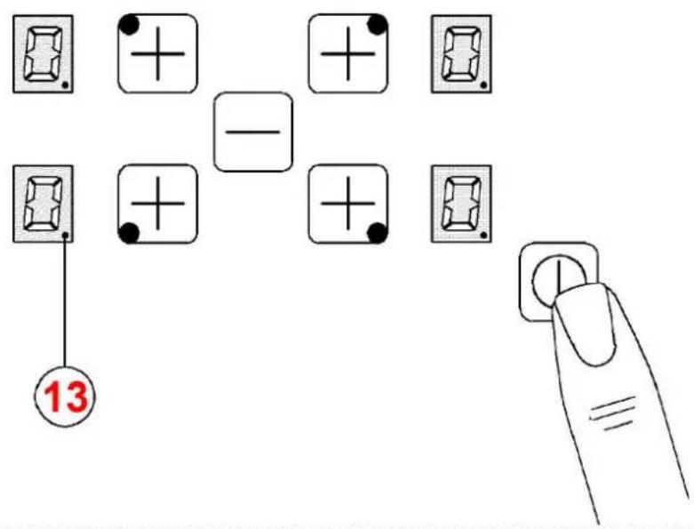 13