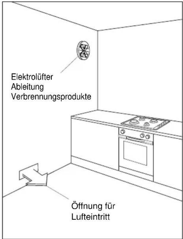 Elektrolüfter Ableitung Verbrennungsprodukte Öffnung für Lufteintritt