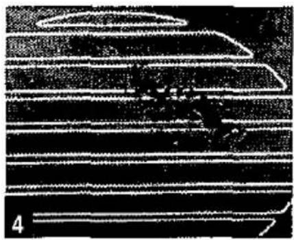 CONSTRUCTA CM31121 - Hinweise: - 1