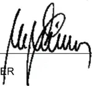 AUDIOLINE Confi DECT 1 - Konformitätserklärung - 1