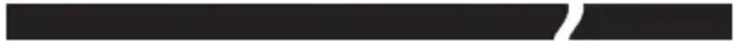 AUDIOLINE BigTel 165 - Preliminary Information - 4