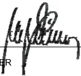 AUDIOLINE 5300TECH - Konformitätserklärung - 1