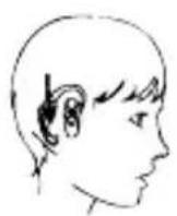 AUDIOLINE Headset BT 113 - Headset tragen - 2