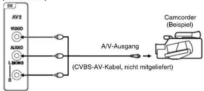 ORION TV32PL6905DVD - Videoplayer oder Camera anschließen - 1